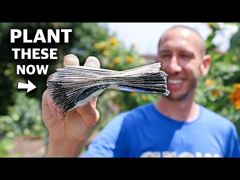 25 Crops You Can Plant In August!