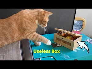 Don't Touch Useless Box Tested by Cats 😎 @gadgetify
