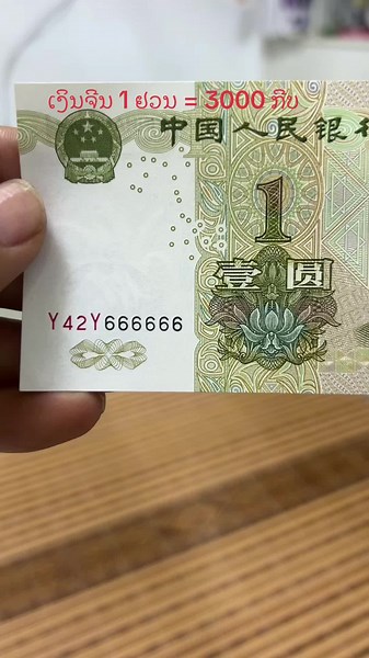 Xin Bing Bing on TikTok