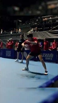 A France-China semi-final at the World Table Tennis Championships?