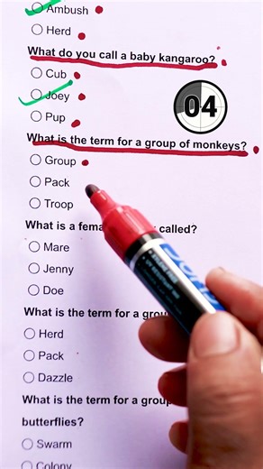 Animal Quiz -Can you get 7/7! #quiz #trivia #animalquiz