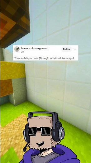 teleporting seagull