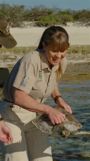 Robert Irwin SWIMS with turtle during her release 🐢 #crikeyitstheirwins #robertirwin #wildlifeconservation
