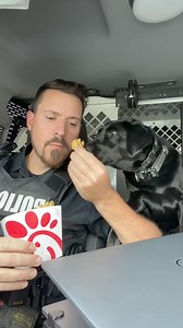1.7M views · 10K reactions | I’d like to report a theft #fries #dog #fyp #k9 #chicfila | K9 Raider & Axel | Facebook