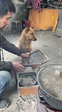 To make a living, the dog helps its owner with chores.