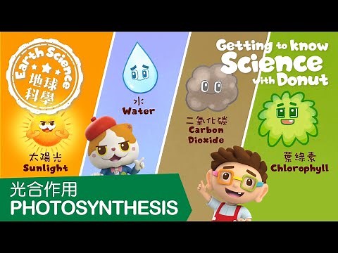 【Getting to Know Science with Donut】—「地球科學」之 光合作用