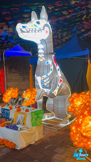 Les festivités à Playa del Carmen commencent aujourd'hui ! | H&L Tours francophone agence excursion a Playa del Carmen