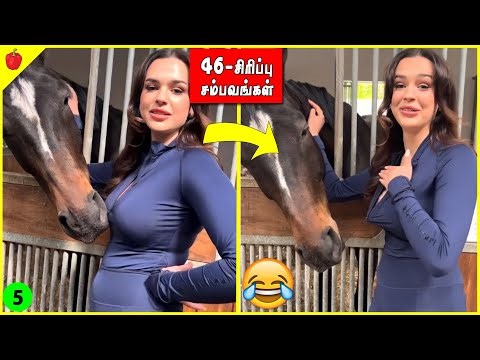 சிரிக்காம இருக்க முயற்சி பண்ணுங்க EP15 | Tamil Funny videos Collection | ThirdBrain Entertainment