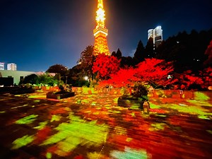 36 reactions | 10月1日(火)より、カフェ＆バー タワービューテラス(3F)では「TOKYO RED...