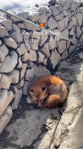 おすすめのアカウント