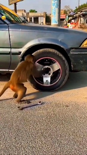 Mera gadi ka Chaka de do #funny #comedy | Pintu Comedy Shorts