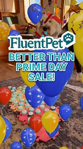 29K views · 270 reactions | It's Better Than Prime Day! Shop deals all over fluent.pet, including 21% OFF GET STARTED 'FIRE' KITS, 26% OFF BASIC TESTER AND KEY VOCAB KITS,31% OFF INDIVIDUAL BOLD HEXTILES + 15% OFF SITE-WIDE! If you were thinking about bringing some buttons into your home, now is the opportunity! USE CODE OCTPRIME24 AT CHECKOUT! Act fast, because supplies won't last long! #fluentpet | FluentPet | Facebook
