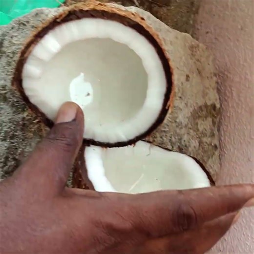 benefits of eating coconut in telugu 🥥 కొబ్బరి #coconut #shorts #viral #telugushorts #youtube #food