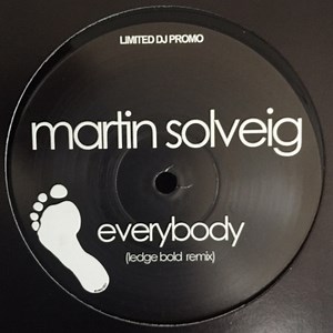 Martin Solveig - Everybody