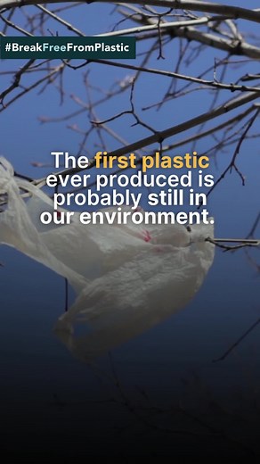 1.3K views · 32 reactions | The first plastic ever produced is probably still lurking in the environment.  Plastic takes years to decompose, and even then, it never fully disappears; it just gets smaller and smaller. Since the 1950s, 9.2 billion tonnes of plastic have been produced, of which 7 billion tonnes have become waste. There must be a massive reduction in plastic production!  #BreakFreeFromPlastic #NoToSingleUse #microplastics | Break Free From Plastic | Facebook