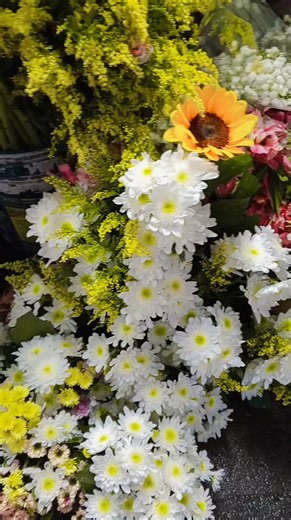 21 reactions · 4 comments | It's 7 pm I walked past the flower market @Tagaytay City I must admit I am not a fan of flowers but I can't help but take video as they are so beautifully made in bouquets in a wide array of color and sizes and kinds.really eye catching | Banjie Romulo | Facebook