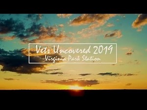 Vets Uncovered 2019