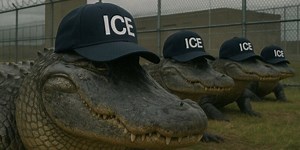 Homeland Security slammed as it shares ‘disgusting’ alligator meme
