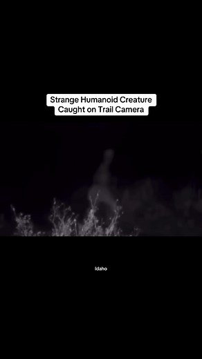 *NEW FOOTAGE* Weird Humanoid Creature Caught on Trail Cam Deep in Forest. Skinwalker? The rake? Alien? Lmk… #foryou #cryptid #creature #trailcam #skinwalker