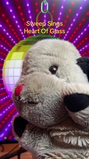 #sweep #sooty #blondie #disco