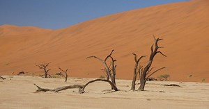 Severe drought threatens food security in South Africa | Africanews