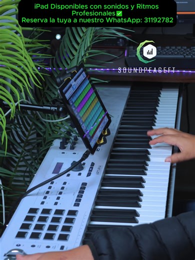 iPad Disponibles con más de 2000 Samples y más de 100 Ritmos Profesionales, a un Precio de Oferta!✅ 🛵 Envío gratis a todo el país! ✅ Pago contra entrega (Pagas al recibir tu iPad) ✅ WhatsApp al: 31192782 Contamos con librerías de: ✅Yamaha PSR 550 ✅Korg Triton Studio ✅Korg N364 ✅Korg 01W ✅Korg M1 ✅Korg D50 ✅Pianos para centro, pianos de adoración y Worship Pads. ✅Instrumentos Reales ✅Sonidos de Jacobo Reynoso, Banda Transfiguración, etc. ✅Korg PA1000 ✅Korg PA700 ✅Yamaha PSR900 ✅Korg Kronos ✅Korg