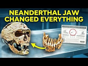 Ancient DNA Finally Reveals The Last Neanderthal’s HIDDEN Secrets And Rewrites Human History