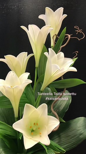 Kaisan Kukka - Tunteella Teille tuotettu Surun kohdatessa #kukkakauppahämeenlinna #kaisankukka #verkonkukkivinkauppa #tunteellateilletuotettu #surukimppu #myötäeläen