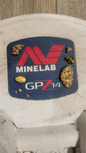 2.5K views · 1K reactions | That's why Minelab machines are the best !!!⛏️ #minelab #minelabmetaldetecting #Minelab #minelabanz #minelabgpz7000 #goldprospectingaustralia #gold #goldadventures #victoriangoldfields #victoria | Elizabeth Pickthall | Facebook