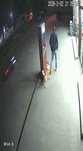 Thief Tries to Rob Man – Dog Says NO! 🐕‍🦺