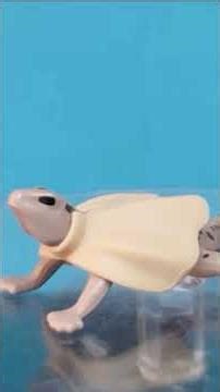 Clamidosaurio - Capítulo 29 - ZOOlogía playmobil - Especial WILTOPIA