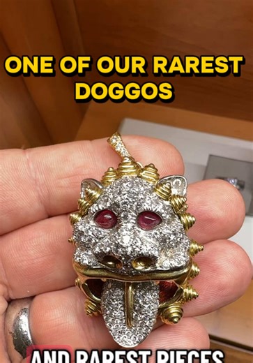 Meet One of Our Rarest Doggos!