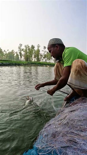 Amazing Skills: Catching Fish with Hand-Cast Net in River #fishing #fish