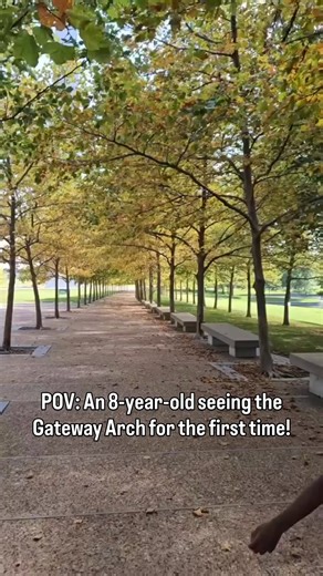 103K views · 4.1K reactions | Do you remember your reaction the first time you saw me? 珞  dr.nik1920 | Gateway Arch | Facebook