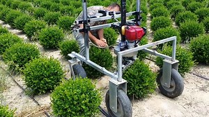 Spherical Shrub Machine