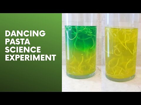 Dancing Pasta Science Experiment