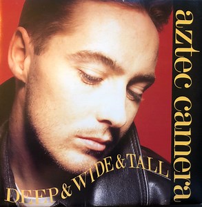 Aztec Camera - Deep & Wide & Tall