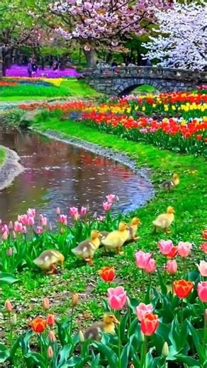 #programming # movie song #