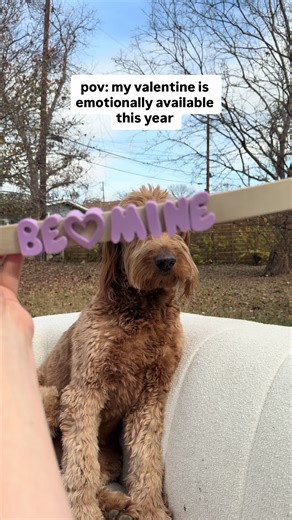 Because my dog is my Valentine, duh! 💓