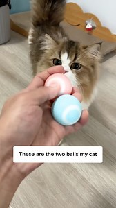 8.6K views · 68 reactions | The BALL that never gets stuck  Comment “Ball” and I’ll DM the  to you instantly! Or simply search Cat Ball Toy on our site ✨ | Cuddles & Meow | Facebook
