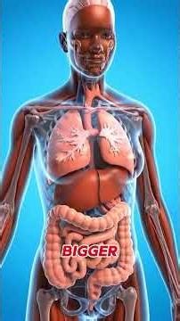 What REALLY Happens When You Drink and Eat at the Same Time 😱