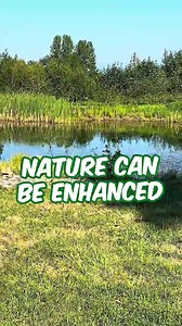 Balance Nature with Technology #aquariumcoop #aquascaping #fishtank | Aquarium Co-Op