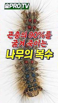 The revenge of trees that starve 90% of insects to death! #WhyTreesBloomLate #OakSurvivalStrategy
