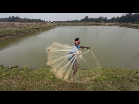 Fishing Net Video - Traditional Cast Net Fishing in River - Best Fishing Net Village River Video