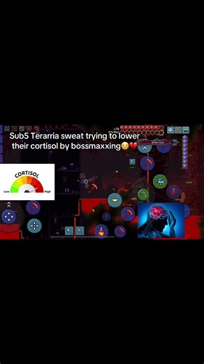 Maximizing Boss Battles in Terraria for Reduced Cortisol