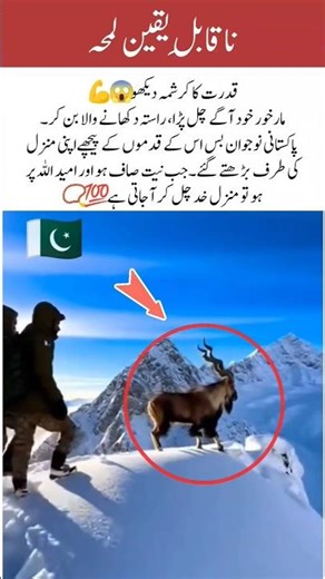 Markhor is Guiding Pakistan Army Youth – The Real Story #isi #army #pakarmy #airforce #motivation