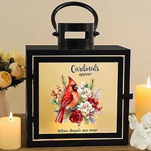 Fabuday Sympathy Gift Memorial Lantern - Memory Lamp for Loss of Loved One/Mom/Dad, Cardinal Lantern with Flameless Candle, Bereavement Gifts for Condolences Grief Funeral Remembrance Grieving Black