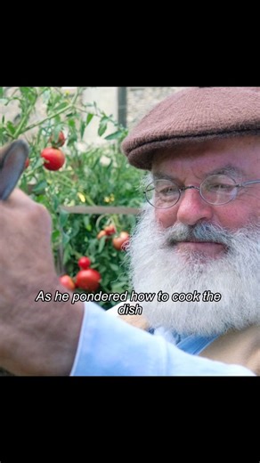 Live-action Peter Rabbit #movie #film #fypシ゚viral #youtubeshorts #youtube