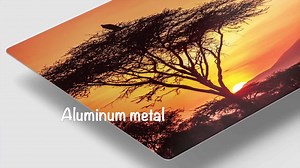 Zebra Herd Photo Print - Color Safari Animal Fine Art - Etsy Canada