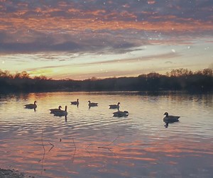 🎄 Merry Christmas and a Happy New Year from the BBOWT team! ❄️ If you want to spend time enjoying the wonderful winter wildlife over this festive period, it's not too late to join us for 12 Days Wild which starts today! Sign up here: buff.ly/HyaaQTS Please be aware that there will be no one monitoring our social media channels between now and 28 December, and between 1-4 January. 📷 Nature Discovery Centre by Craig Allen | Berks, Bucks and Oxon Wildlife Trust - BBOWT